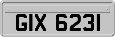 GIX6231