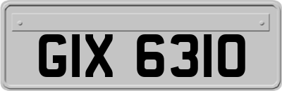 GIX6310