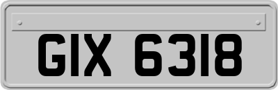 GIX6318