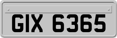 GIX6365