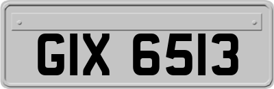 GIX6513