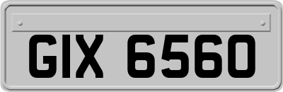 GIX6560