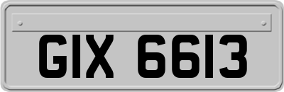 GIX6613