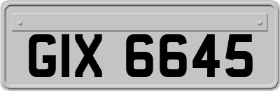 GIX6645