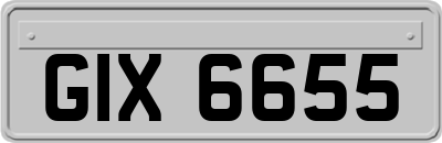 GIX6655