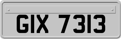 GIX7313