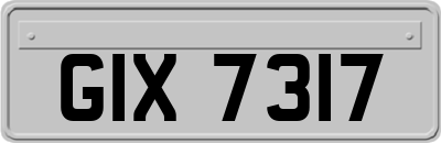 GIX7317