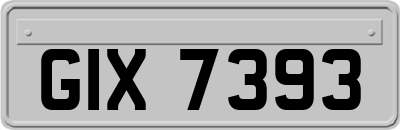 GIX7393