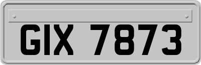 GIX7873