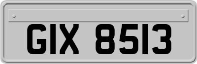 GIX8513