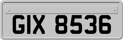 GIX8536
