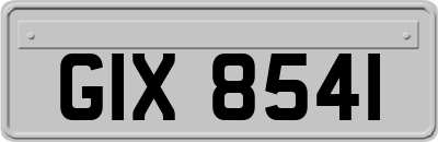GIX8541