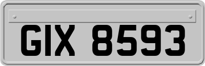 GIX8593