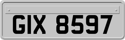 GIX8597