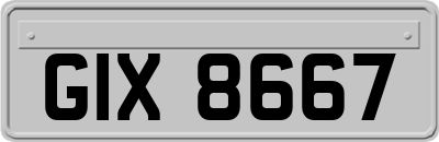 GIX8667