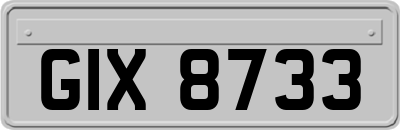 GIX8733