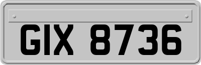 GIX8736