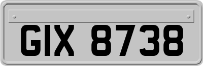 GIX8738