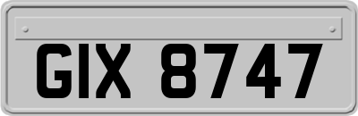 GIX8747