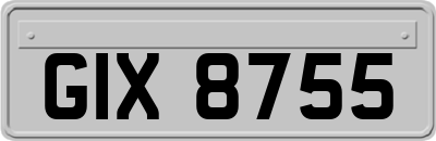 GIX8755