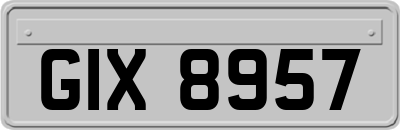 GIX8957