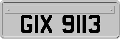 GIX9113