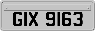GIX9163