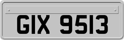 GIX9513