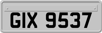 GIX9537