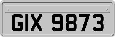 GIX9873