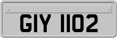 GIY1102
