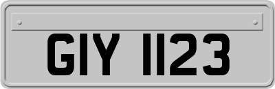 GIY1123