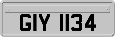 GIY1134