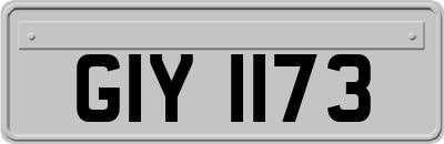 GIY1173