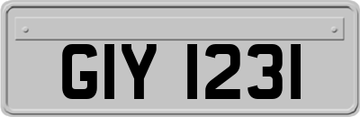 GIY1231