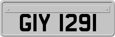GIY1291