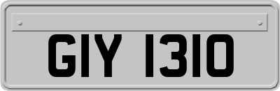 GIY1310