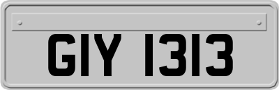 GIY1313