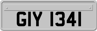 GIY1341