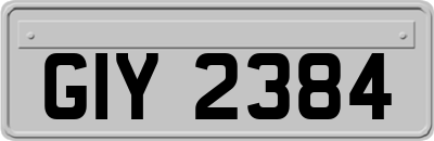 GIY2384