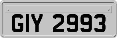 GIY2993