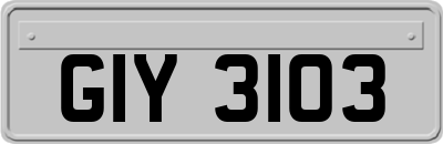 GIY3103