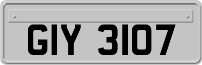 GIY3107