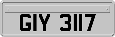 GIY3117