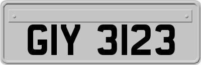 GIY3123