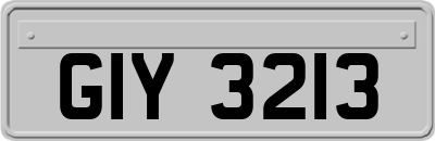 GIY3213