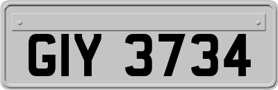 GIY3734