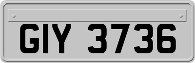 GIY3736