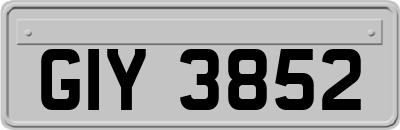 GIY3852