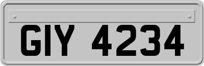 GIY4234